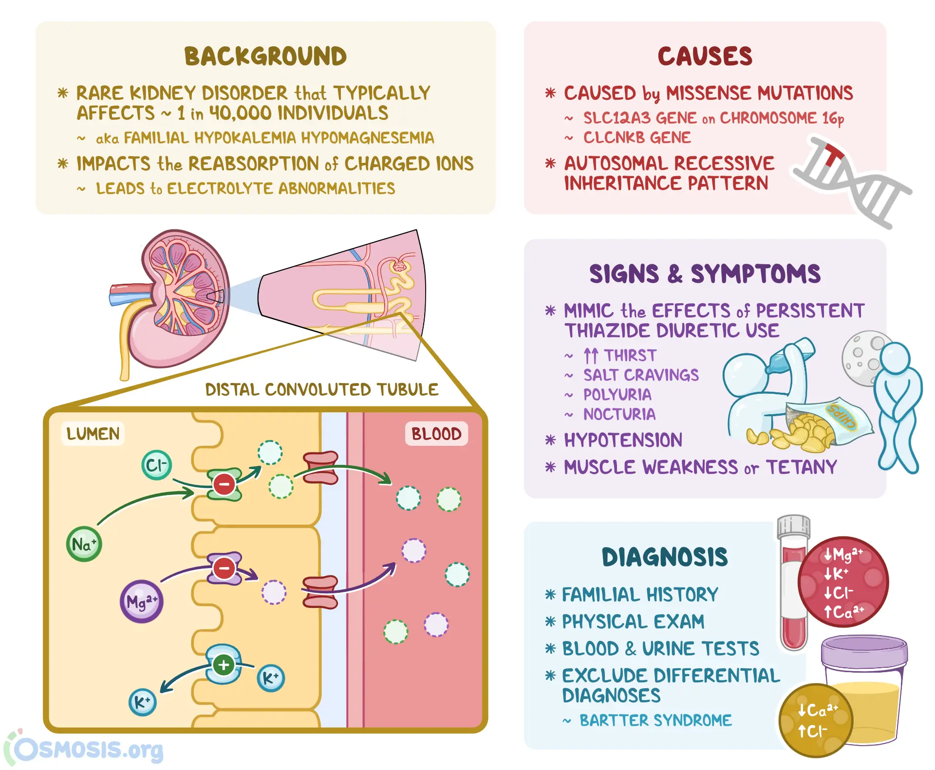 Gitelman syndrome